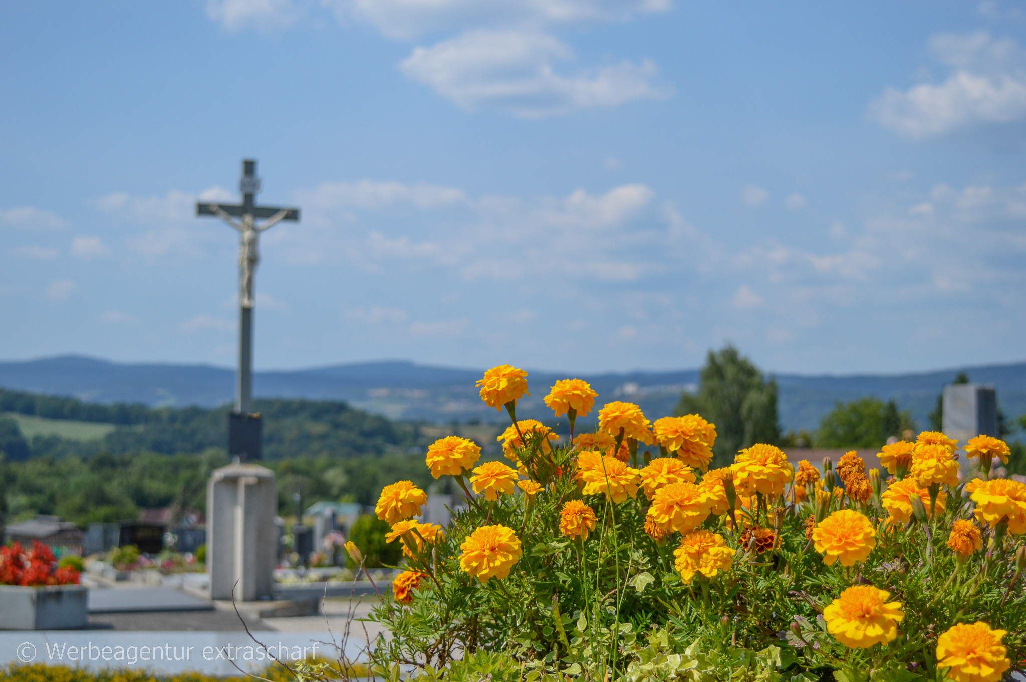 Friedhof Erlauf