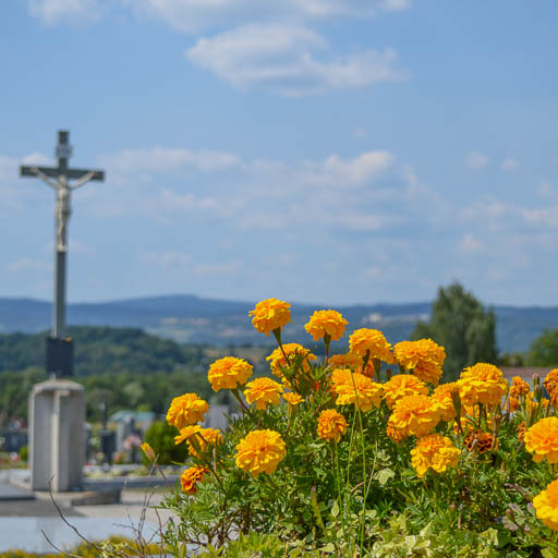 Friedhof Erlauf