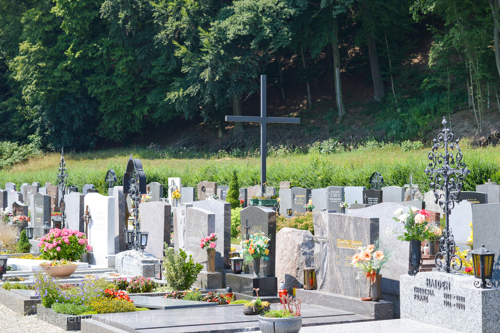 Friedhof Golling