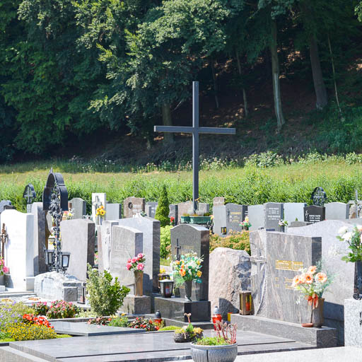 Friedhof Golling