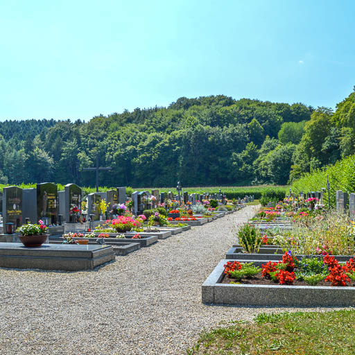 Friedhof Golling