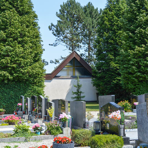 Friedhof Golling